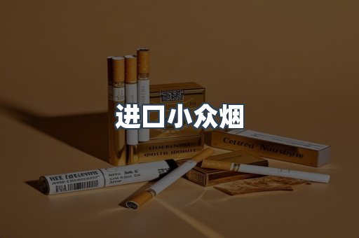 进口小众烟